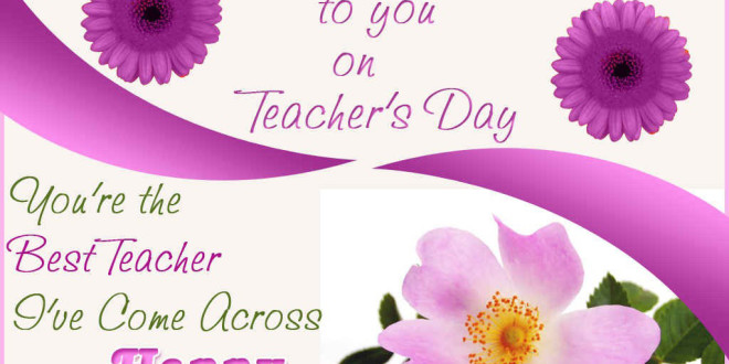 Teacher day celebration in school essay