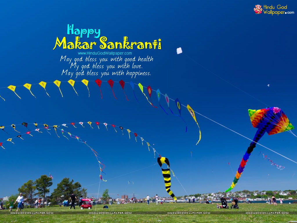 Makar Sankranti HD Images Photos And Wallpapers Free Download
