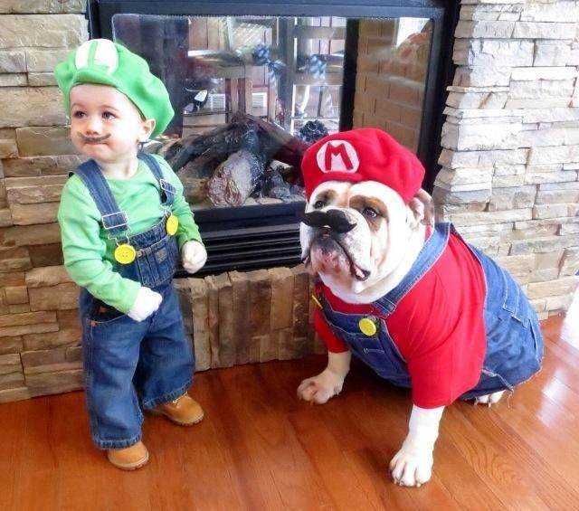 Halloween Costume Ideas