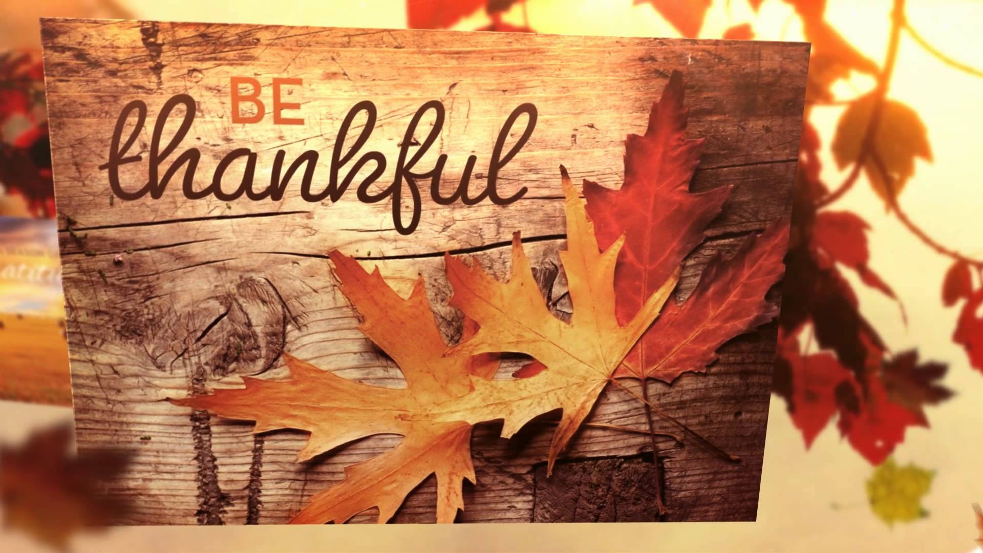 Thanksgiving Greeting Cards