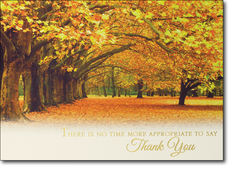Thanksgiving Postcards