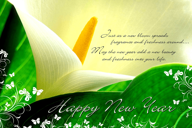 Happy New Year Greetings - New Year Cards