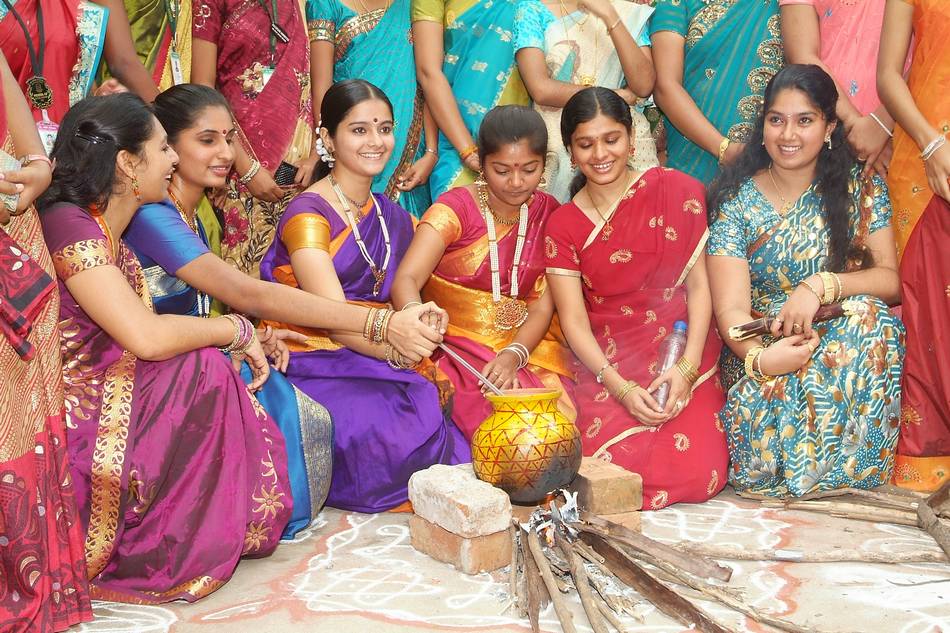 What Is Thai Pongal Festival & Thai Pongal Celebrations - Tamils Festival