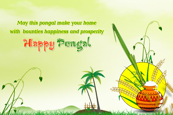 Thai Pongal Wishes, Quotes, Messages and Greetings