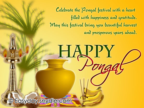 Thai Pongal Wishes, Quotes, Messages and Greetings