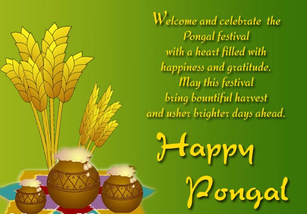 Thai Pongal Wishes, Quotes, Messages and Greetings