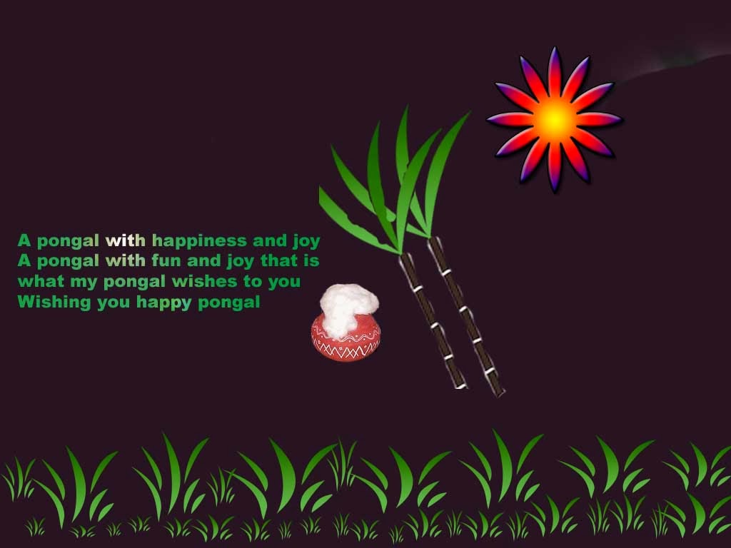 Thai Pongal Wishes, Quotes, Messages and Greetings