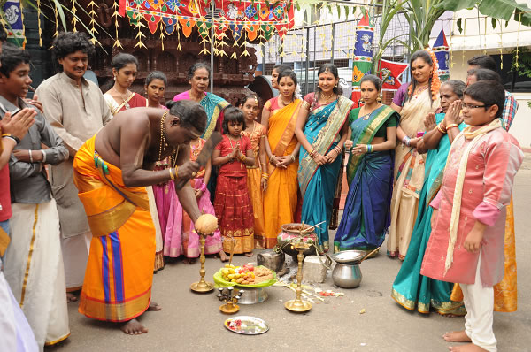 What Is Thai Pongal Festival & Thai Pongal Celebrations - Tamils Festival