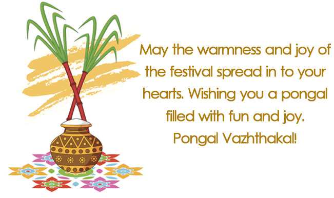 Thai Pongal Wishes, Quotes, Messages and Greetings