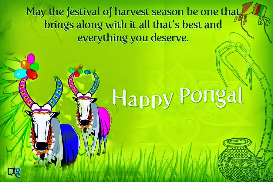 Thai Pongal Wishes, Quotes, Messages and Greetings