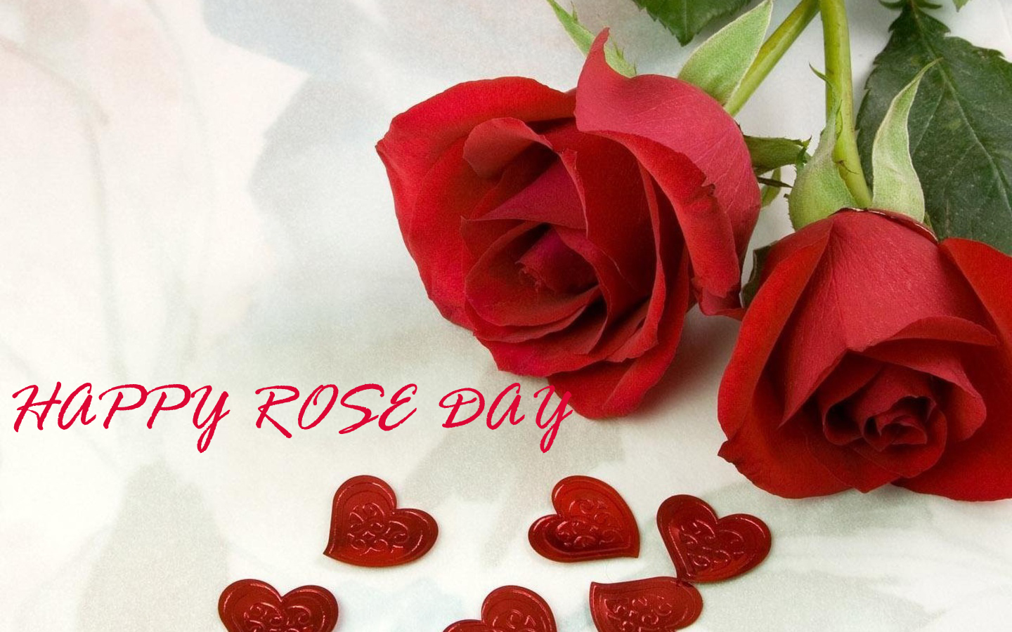 Rose Day Images, Pics, Quotes, Wishes, Photos