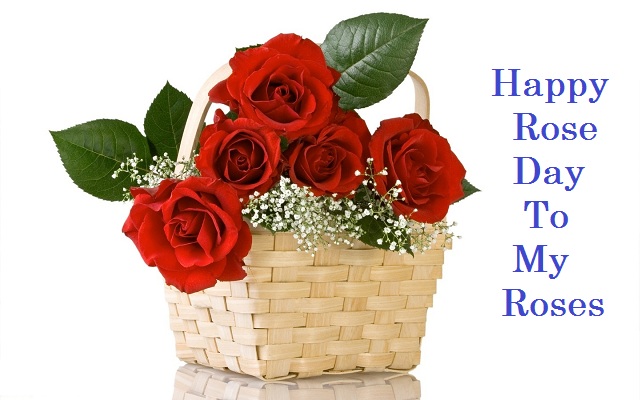 Happy Rose Day Images, Pics, Quotes, Wishes, Photos
