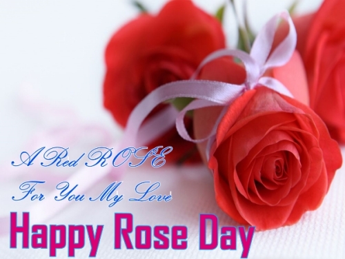 Valentines Day - Rose Day Wishes, Quotes, SMS and Messages