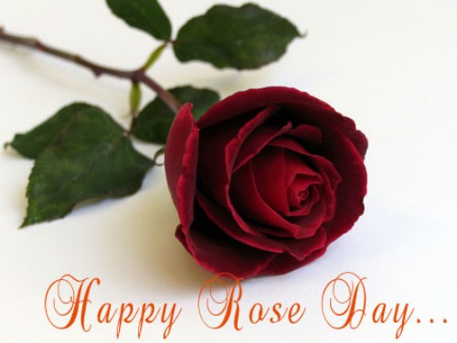 Valentines Day - Rose Day Wishes, Quotes, SMS and Messages