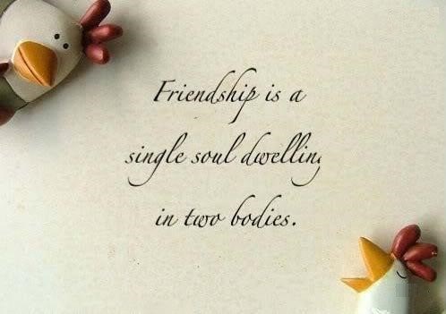 Happy Friendship Quotes
