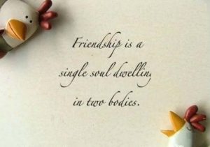 Download Best Friendship Day Quotes